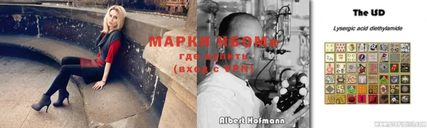 спиды Инсар