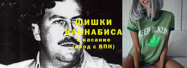 спиды Инсар