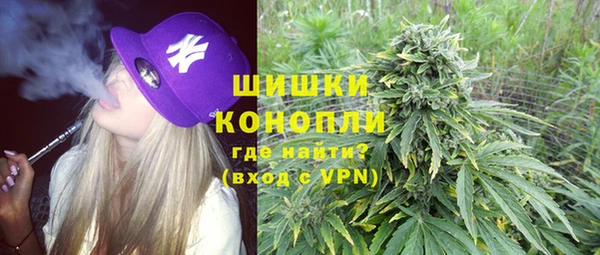 спиды Инсар