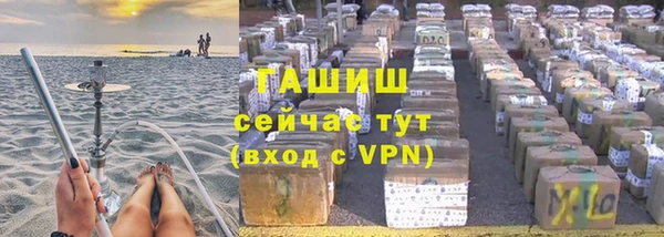 хмурый Инта