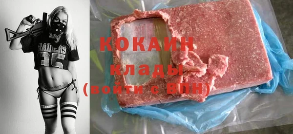 хмурый Инта