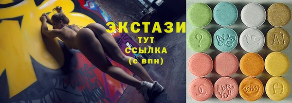 хмурый Инта