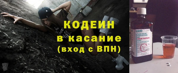 хмурый Инта