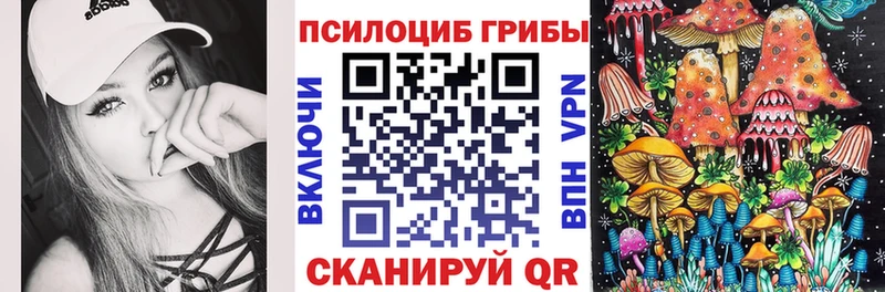 Купить где  Ейск  Галлюциногенные грибы Psilocybe 
